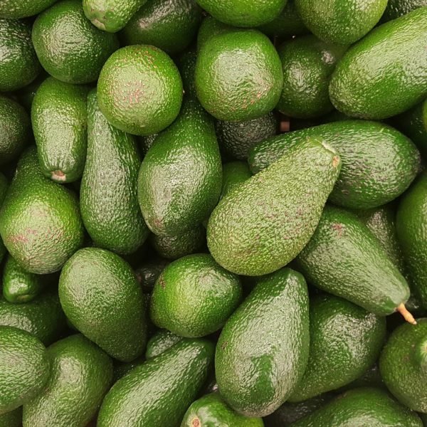 Invest in avocados