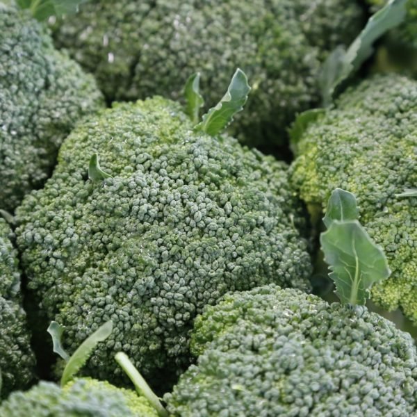 australian organic fruit broccoli project