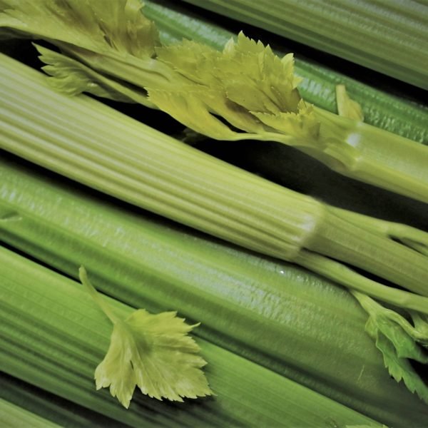australian organic fruit celery project